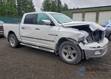 2010 Dodge Ram 1500 из США, поврежденный, VIN 1D7RV1CT7AS153801